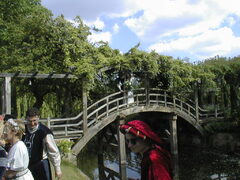 0529_015.jpg