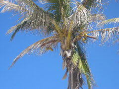 img_2020.jpg
