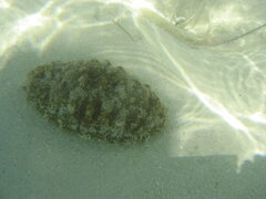 img_2023.jpg