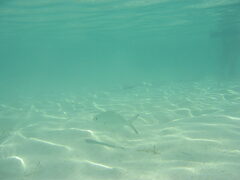 img_2026.jpg