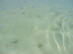 img_2032.jpg