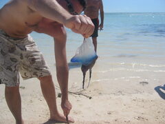 img_2038.jpg