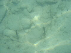 img_2040.jpg