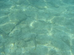 img_2041.jpg