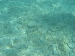 img_2042.jpg