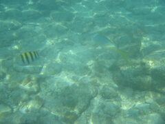 img_2043.jpg