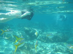 img_2045.jpg