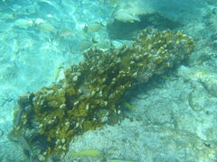 img_2046.jpg