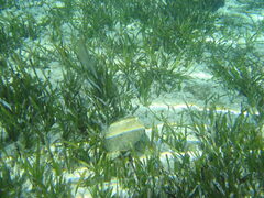 img_2048.jpg