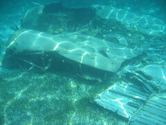 img_2050.jpg