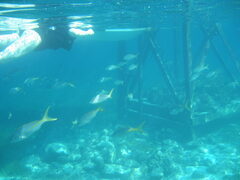 img_2053.jpg