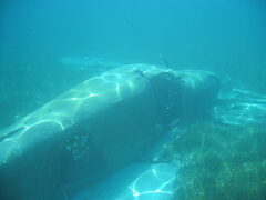 img_2054.jpg