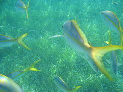 img_2055.jpg