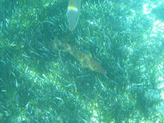 img_2057.jpg