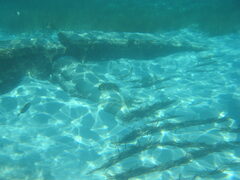 img_2059.jpg