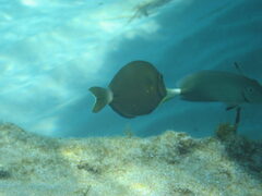 img_2061.jpg