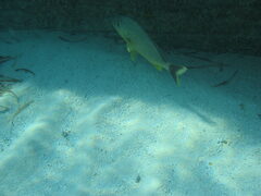 img_2062.jpg