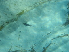 img_2063.jpg
