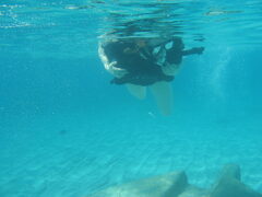 img_2064.jpg