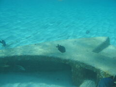 img_2065.jpg