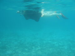 img_2067.jpg