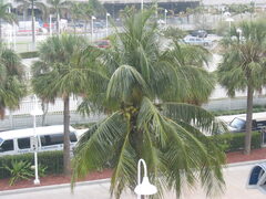 img_2182.jpg