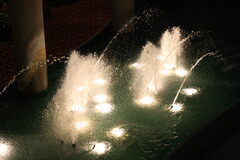 IMG_4711.JPG